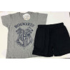 Conjunto HARRY POTTER  